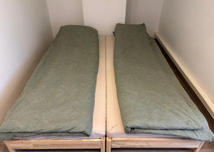 Cozy Downtown 2 Twin Or 1 Double Bed Apartment *